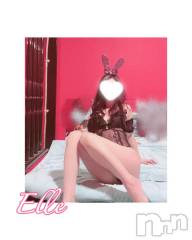 新潟ソープ新潟バニーコレクション(ニイガタバニーコレクション) エル(26)の3月10日写メブログ「帰宅♡お礼」