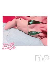 新潟ソープ新潟バニーコレクション(ニイガタバニーコレクション) エル(26)の3月26日写メブログ「見えそうで見えてる」