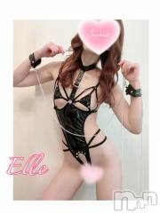 新潟ソープ新潟バニーコレクション(ニイガタバニーコレクション) エル(26)の4月3日写メブログ「沼へご案内」