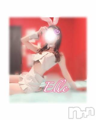 新潟ソープ 新潟バニーコレクション(ニイガタバニーコレクション) エル(26)の1月7日写メブログ「おはよー🫶🏻︎🩵🫧」