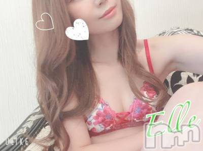 新潟ソープ 新潟バニーコレクション(ニイガタバニーコレクション) エル(26)の1月16日写メブログ「帰宅♡お礼」