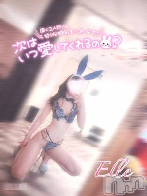 新潟ソープ 新潟バニーコレクション(ニイガタバニーコレクション) エル(26)の4月9日写メブログ「禁じられた温度🫧」