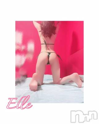 新潟ソープ 新潟バニーコレクション(ニイガタバニーコレクション) エル(26)の4月15日写メブログ「解釈の余地だけ残して」