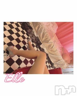 新潟ソープ 新潟バニーコレクション(ニイガタバニーコレクション) エル(26)の4月16日写メブログ「イマここ」