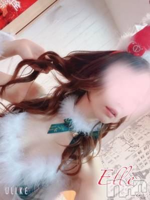 新潟ソープ 新潟バニーコレクション(ニイガタバニーコレクション) エル(26)の10月8日写メブログ「🚨残りあと４日」