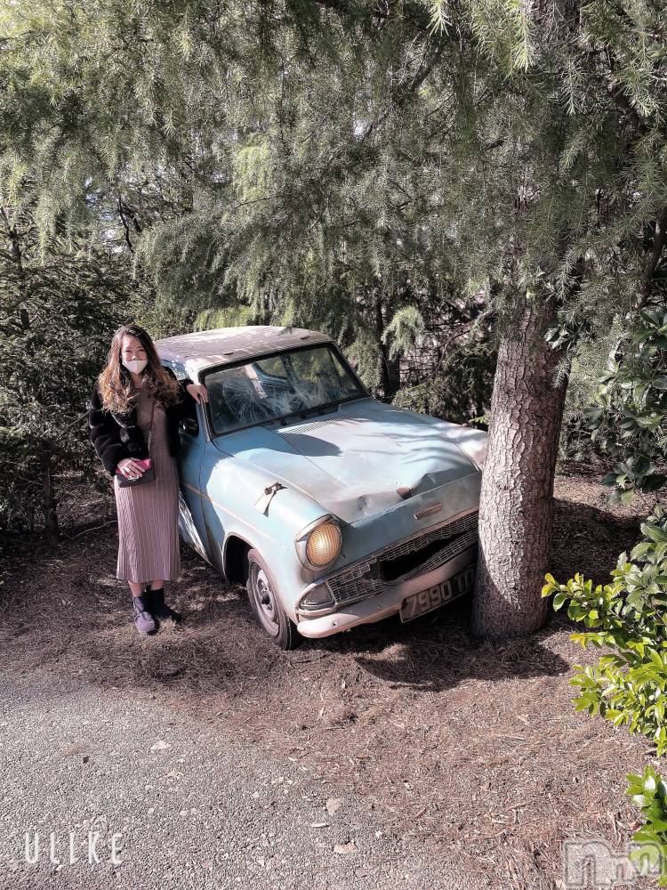 ��ˬ����Х��顦����֥���� �ץ���� ��ˬ(����� �ץ���� ����) ����  ��ߤ�2��15���̥�֥����ַ�����✨✨��