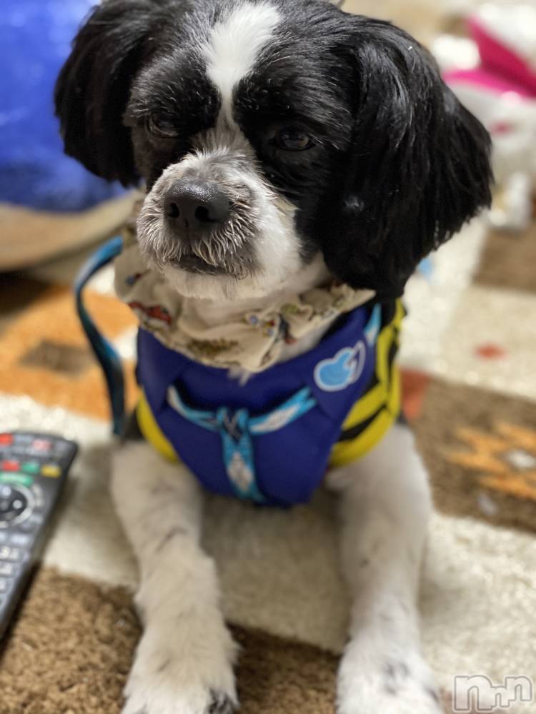 ��ˬ����Х��顦����֥���� �ץ���� ��ˬ(����� �ץ���� ����) ����  ��ߤ�2��25���̥�֥�����⭐️⭐️⭐️��