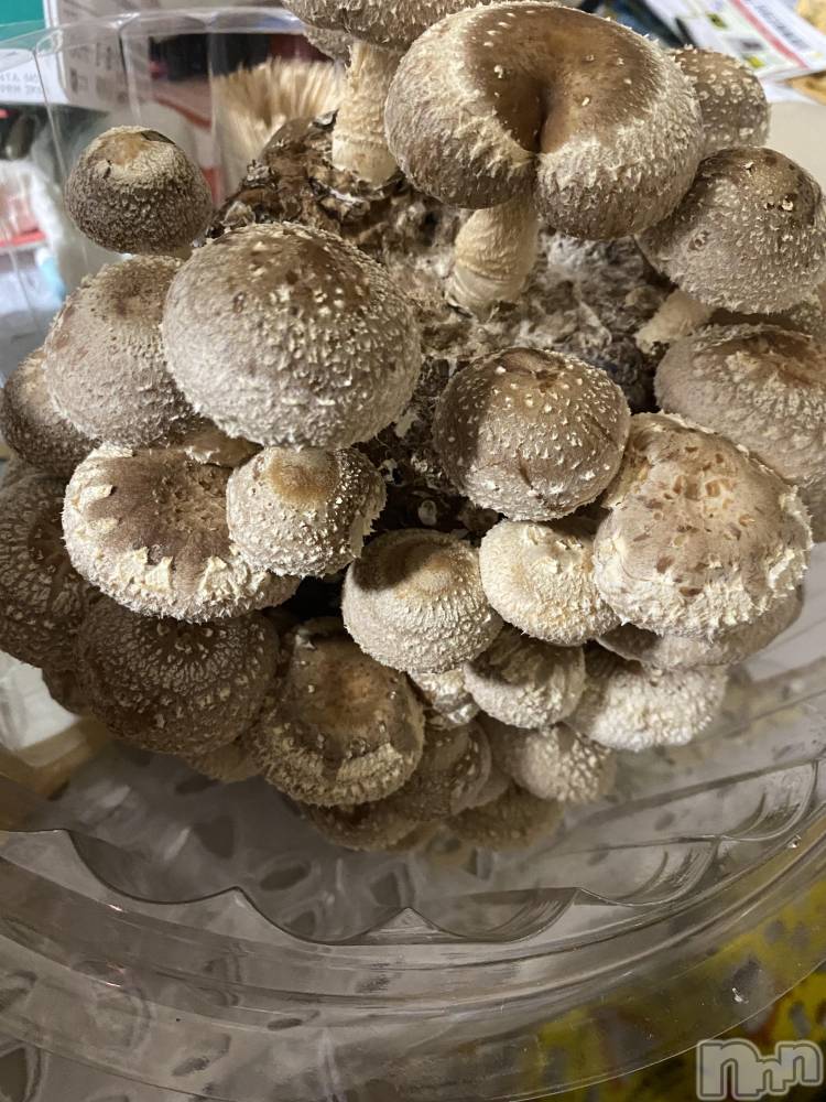 ��ˬ����Х��顦����֥���� �ץ���� ��ˬ(����� �ץ���� ����) ����  ��ߤ�2��26���̥�֥����ֽ���♥️��