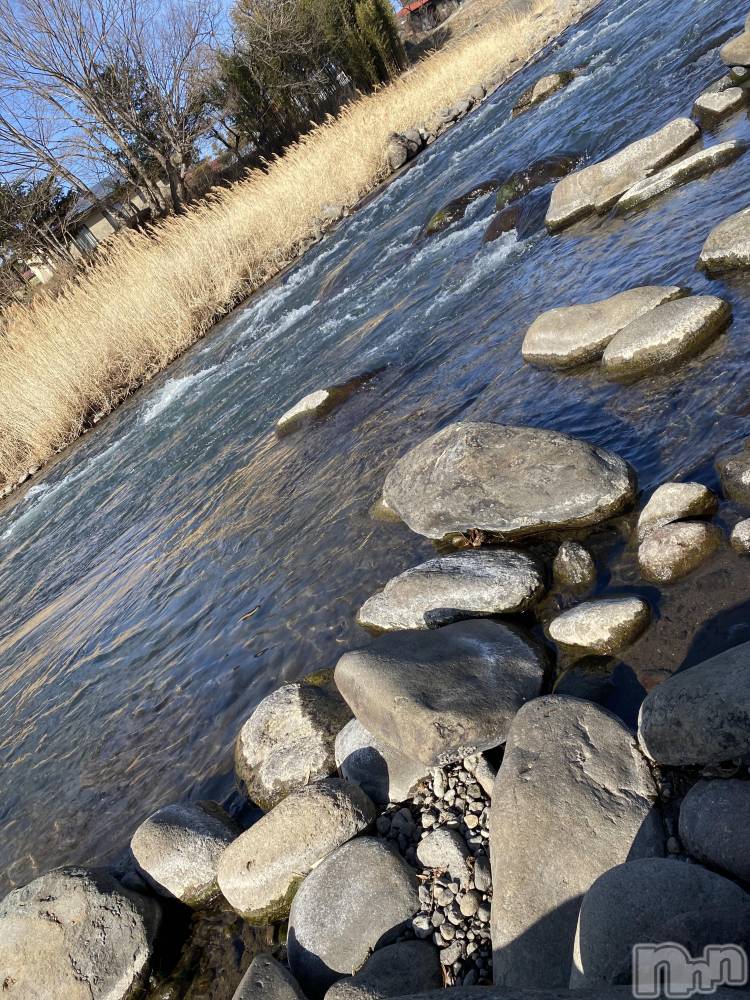 ��ˬ����Х��顦����֥���� �ץ���� ��ˬ(����� �ץ���� ����) ����  ��ߤ�3��2���̥�֥�����🎈🎈🎈��