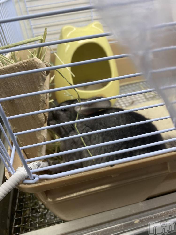 ��ˬ����Х��顦����֥���� �ץ���� ��ˬ(����� �ץ���� ����) ����  ��ߤ�3��23���̥�֥�����(*��ϡ�*)��