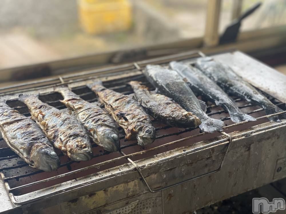 ��ˬ����Х��顦����֥���� �ץ���� ��ˬ(����� �ץ���� ����) ����  ��ߤ�6��14���̥�֥�����🐟��