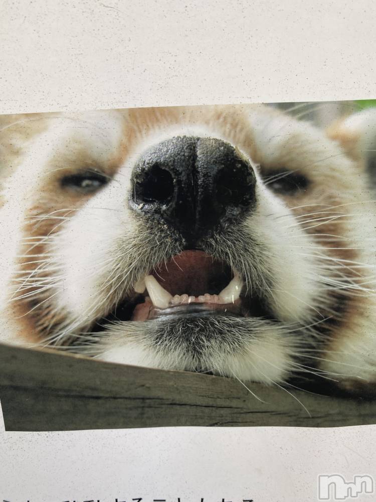 ��ˬ����Х��顦����֥���� �ץ���� ��ˬ(����� �ץ���� ����) ����  ��ߤ�6��30���̥�֥�����6��30�� 19��57ʬ�Υ֥�����