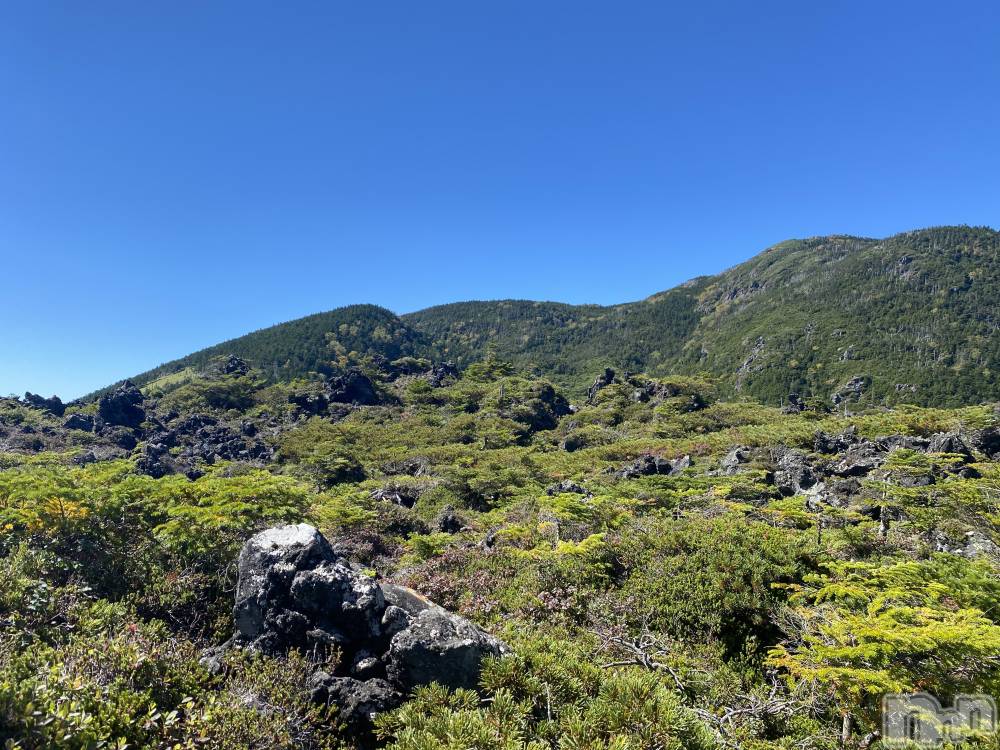 ��ˬ����Х��顦����֥���� �ץ���� ��ˬ(����� �ץ���� ����) ����  ��ߤ�9��21���̥�֥�����9��21�� 22��49ʬ�Υ֥�����