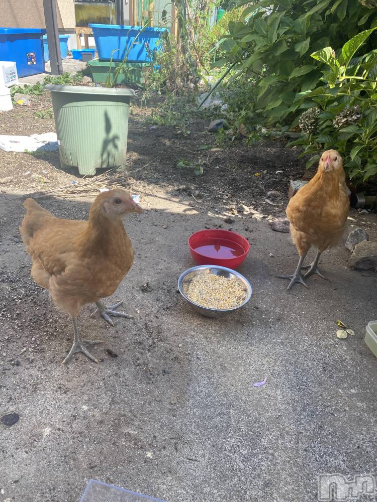 ��ˬ����Х��顦����֥���� �ץ���� ��ˬ(����� �ץ���� ����) ����  ��ߤ�9��22���̥�֥�����9��22�� 20��20ʬ�Υ֥�����