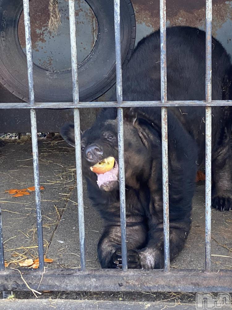 ��ˬ����Х��顦����֥���� �ץ���� ��ˬ(����� �ץ���� ����) ����  ��ߤ�12��20���̥�֥�����12��20�� 20��04ʬ�Υ֥�����