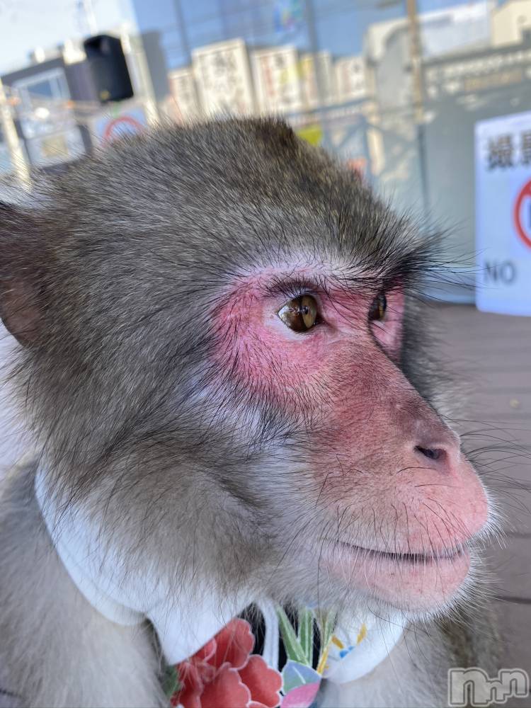 ��ˬ����Х��顦����֥���� �ץ���� ��ˬ(����� �ץ���� ����) ����  ��ߤ�4��12���̥�֥�����4��12�� 13��44ʬ�Υ֥�����