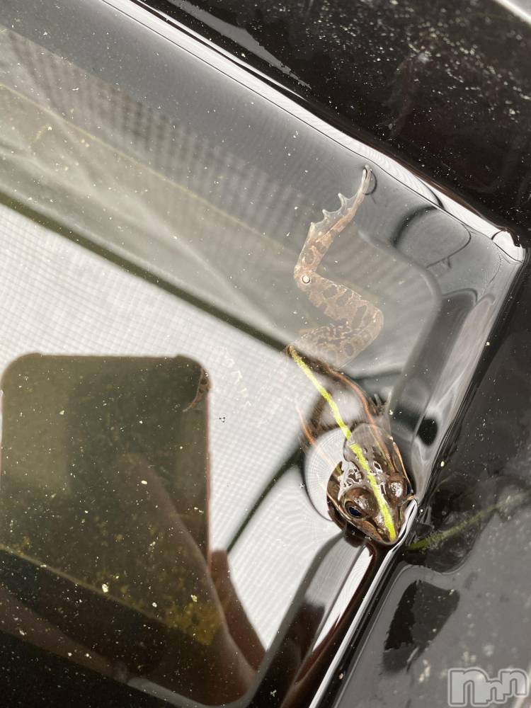 ��ˬ����Х��顦����֥���� �ץ���� ��ˬ(����� �ץ���� ����) ����  ��ߤ�6��16���̥�֥�����6��16�� 19��38ʬ�Υ֥�����