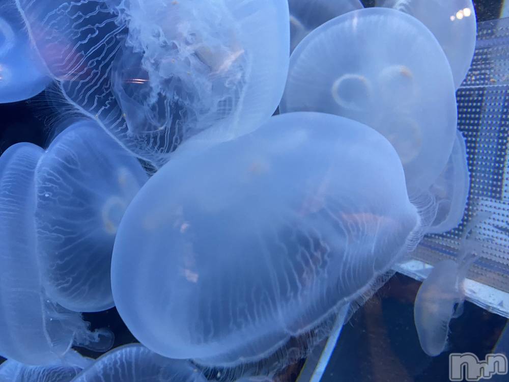 ��ˬ����Х��顦����֥���� �ץ���� ��ˬ(����� �ץ���� ����) ����  ��ߤ�9��16���̥�֥�����9��16�� 19��50ʬ�Υ֥�����