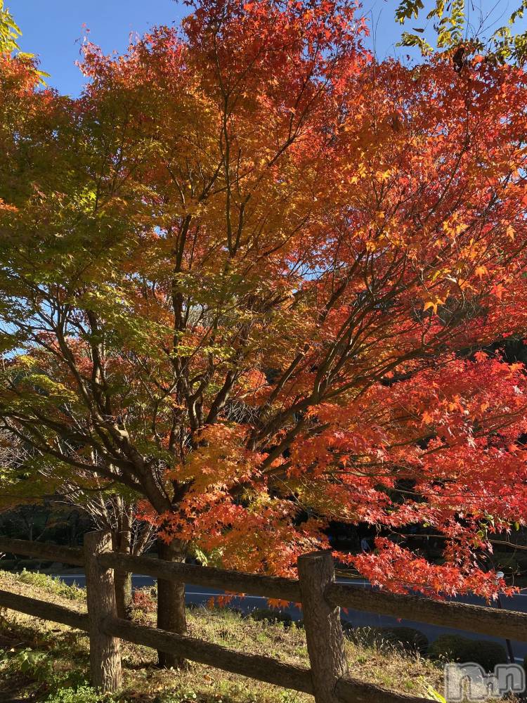 ��ˬ����Х��顦����֥���� �ץ���� ��ˬ(����� �ץ���� ����) ����  ��ߤ�11��4���̥�֥�����11��4�� 19��51ʬ�Υ֥�����