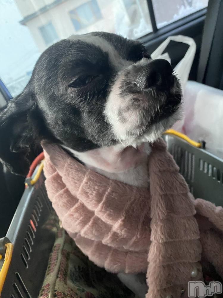 ��ˬ����Х��顦����֥���� �ץ���� ��ˬ(����� �ץ���� ����) ����  ��ߤ�1��27���̥�֥�����1��27�� 14��55ʬ�Υ֥�����