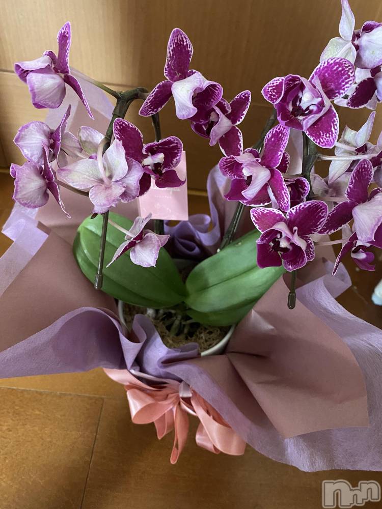 ��ˬ����Х��顦����֥���� �ץ���� ��ˬ(����� �ץ���� ����) ����  ��ߤ�3��8���̥�֥�����3��8�� 18��06ʬ�Υ֥�����