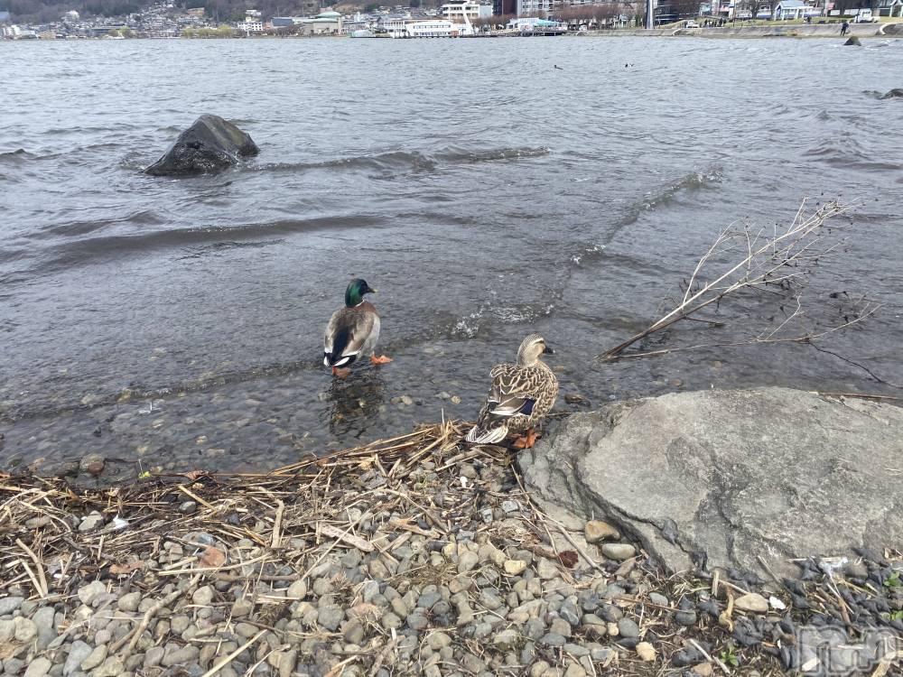 ��ˬ����Х��顦����֥���� �ץ���� ��ˬ(����� �ץ���� ����) ����  ��ߤ�3��30���̥�֥�����3��30�� 13��43ʬ�Υ֥�����