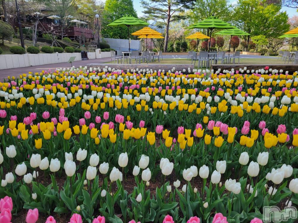 ��ˬ����Х��顦����֥���� �ץ���� ��ˬ(����� �ץ���� ����) ����  ��ߤ�4��19���̥�֥�����4��19�� 20��33ʬ�Υ֥�����