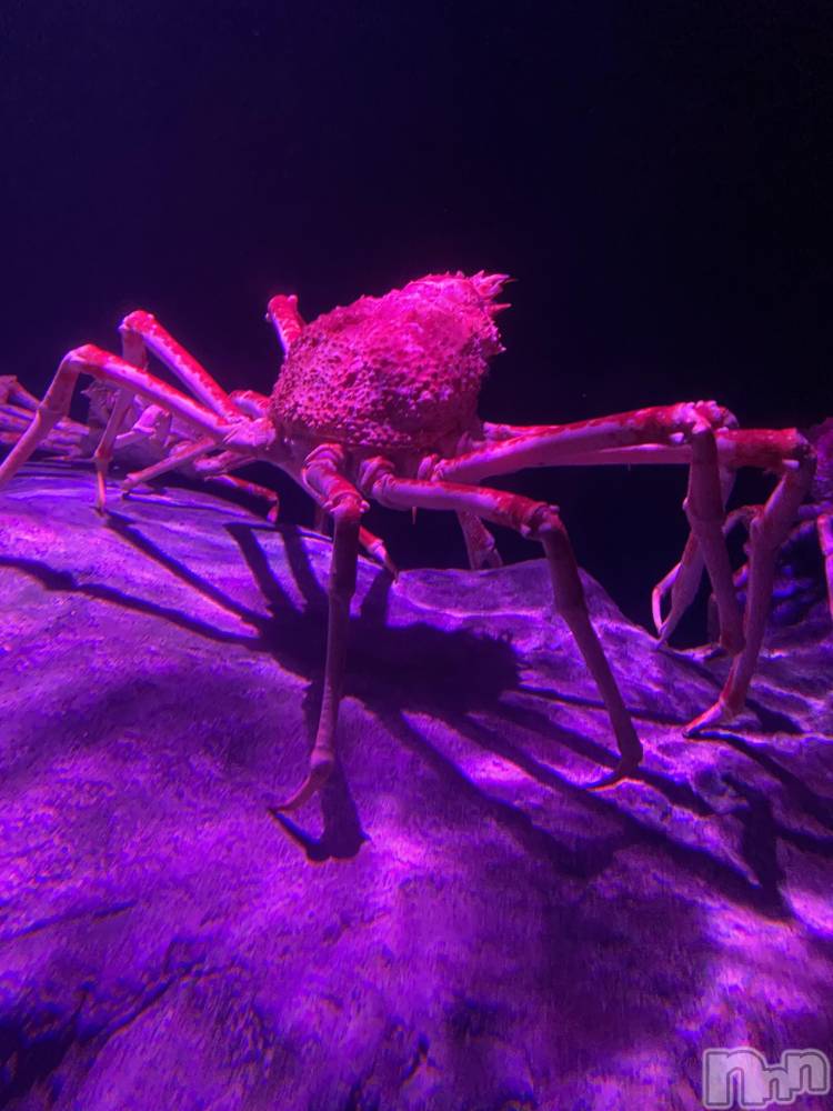 ��ˬ����Х��顦����֥���� �ץ���� ��ˬ(����� �ץ���� ����) ����  ��ߤ�5��4���̥�֥�����5��4�� 18��41ʬ�Υ֥�����