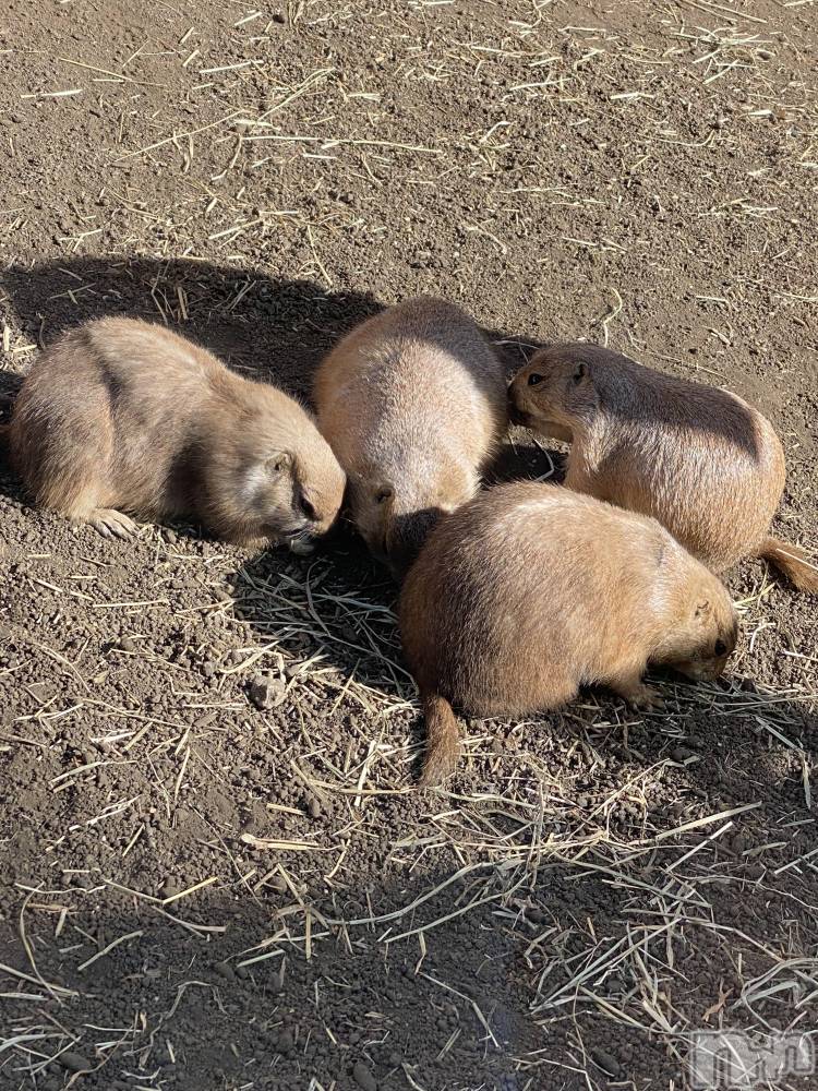 ��ˬ����Х��顦����֥���� �ץ���� ��ˬ(����� �ץ���� ����) ����  ��ߤ�5��4���̥�֥�����5��4�� 20��44ʬ�Υ֥�����