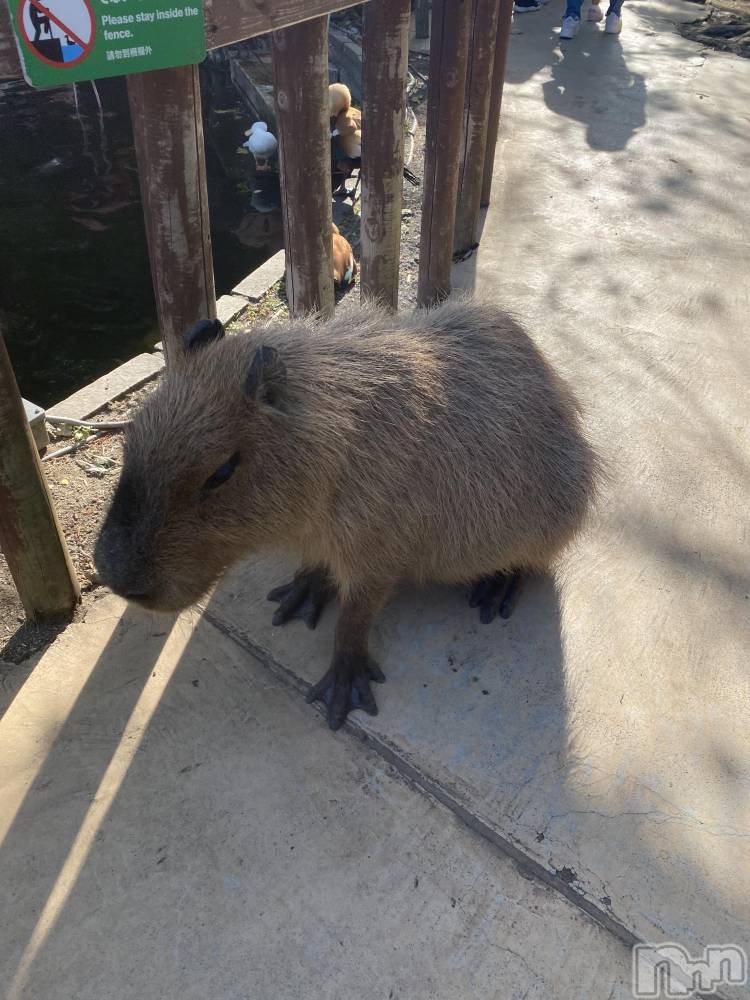 ��ˬ����Х��顦����֥���� �ץ���� ��ˬ(����� �ץ���� ����) ����  ��ߤ�5��6���̥�֥�����5��6�� 14��18ʬ�Υ֥�����