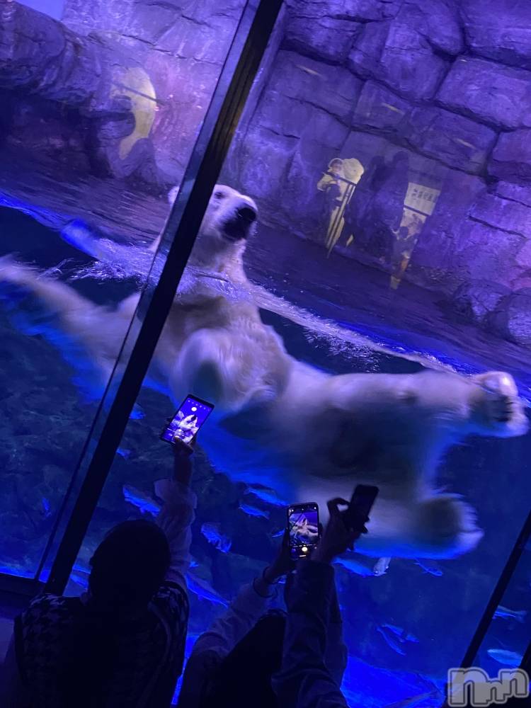 ��ˬ����Х��顦����֥���� �ץ���� ��ˬ(����� �ץ���� ����) ����  ��ߤ�5��8���̥�֥�����5��8�� 10��35ʬ�Υ֥�����