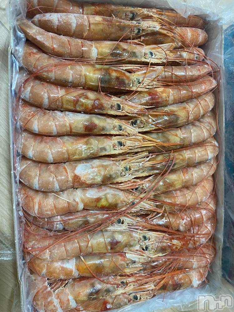 ��ˬ����Х��顦����֥���� �ץ���� ��ˬ(����� �ץ���� ����) ����  ��ߤ�5��13���̥�֥�����5��13�� 15��10ʬ�Υ֥�����