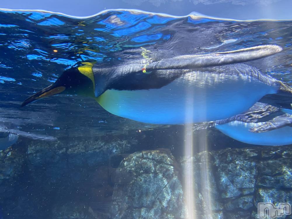 ��ˬ����Х��顦����֥���� �ץ���� ��ˬ(����� �ץ���� ����) ����  ��ߤ�5��18���̥�֥�����5��18�� 19��27ʬ�Υ֥�����