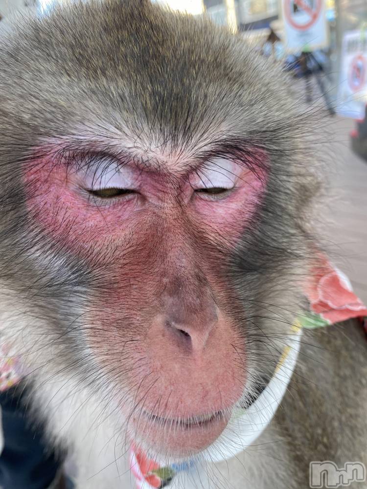 ��ˬ����Х��顦����֥���� �ץ���� ��ˬ(����� �ץ���� ����) ����  ��ߤ�5��24���̥�֥�����5��24�� 18��49ʬ�Υ֥�����