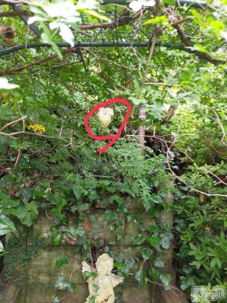 ��ˬ����Х��顦����֥���� �ץ���� ��ˬ(����� �ץ���� ����) ����  ��ߤ�6��10���̥�֥�����6��10�� 16��52ʬ�Υ֥�����