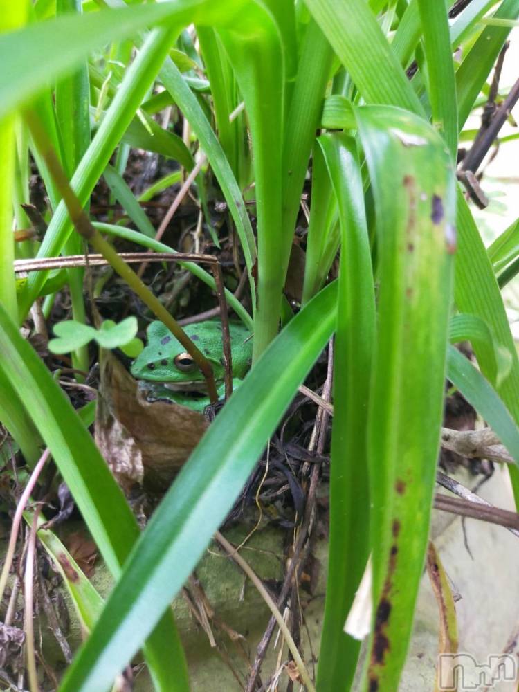 ��ˬ����Х��顦����֥���� �ץ���� ��ˬ(����� �ץ���� ����) ����  ��ߤ�6��16���̥�֥�����6��16�� 13��42ʬ�Υ֥�����