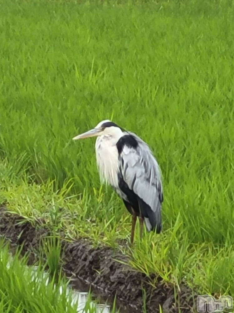 ��ˬ����Х��顦����֥���� �ץ���� ��ˬ(����� �ץ���� ����) ����  ��ߤ�6��23���̥�֥�����6��23�� 14��21ʬ�Υ֥�����