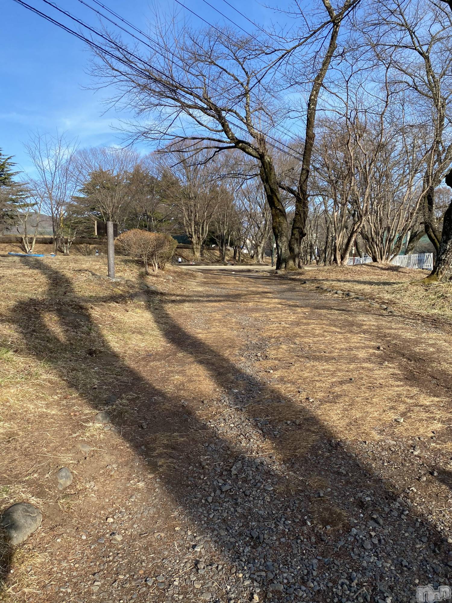 ��ˬ����Х��顦����֥���� �ץ���� ��ˬ(����� �ץ���� ����) ��2021ǯ3��12���̥�֥����ֽ���🤩🤩��