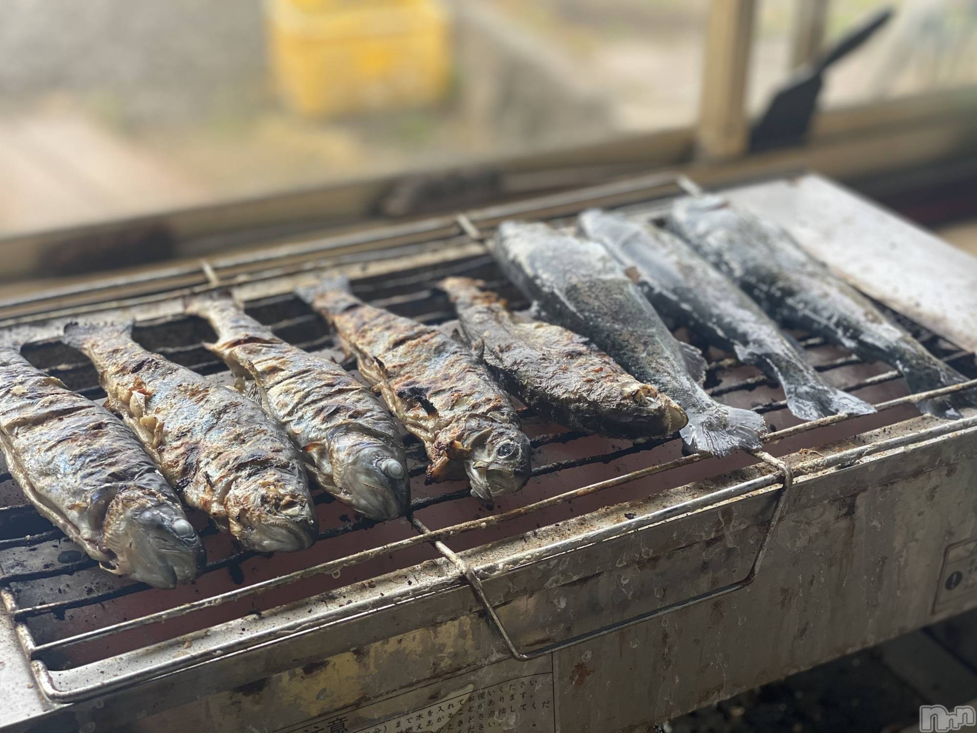 ��ˬ����Х��顦����֥���� �ץ���� ��ˬ(����� �ץ���� ����) ��2021ǯ6��14���̥�֥�����🐟��