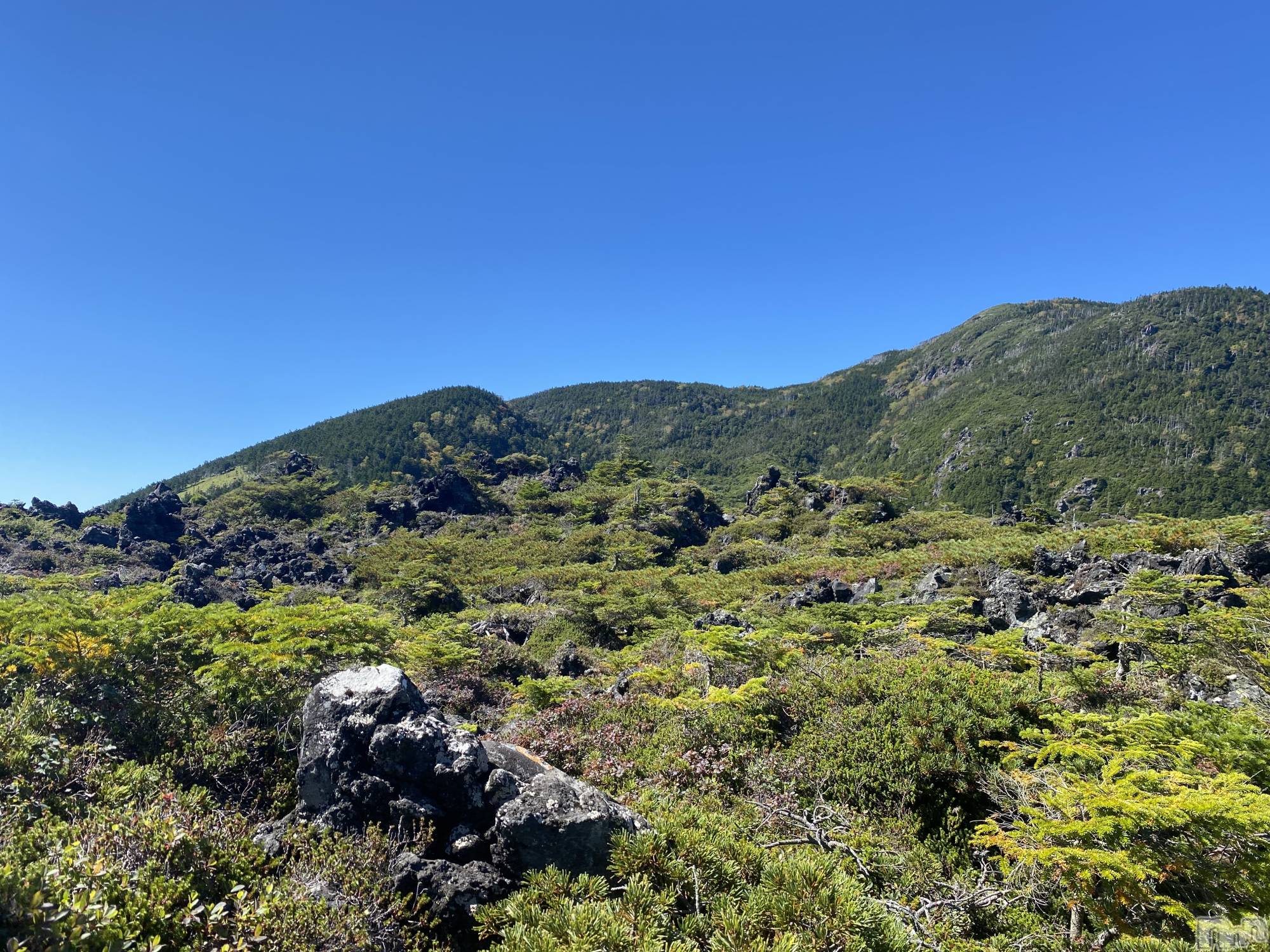 ��ˬ����Х��顦����֥���� �ץ���� ��ˬ(����� �ץ���� ����) ��2021ǯ9��21���̥�֥�����9��21�� 22��49ʬ�Υ֥�����