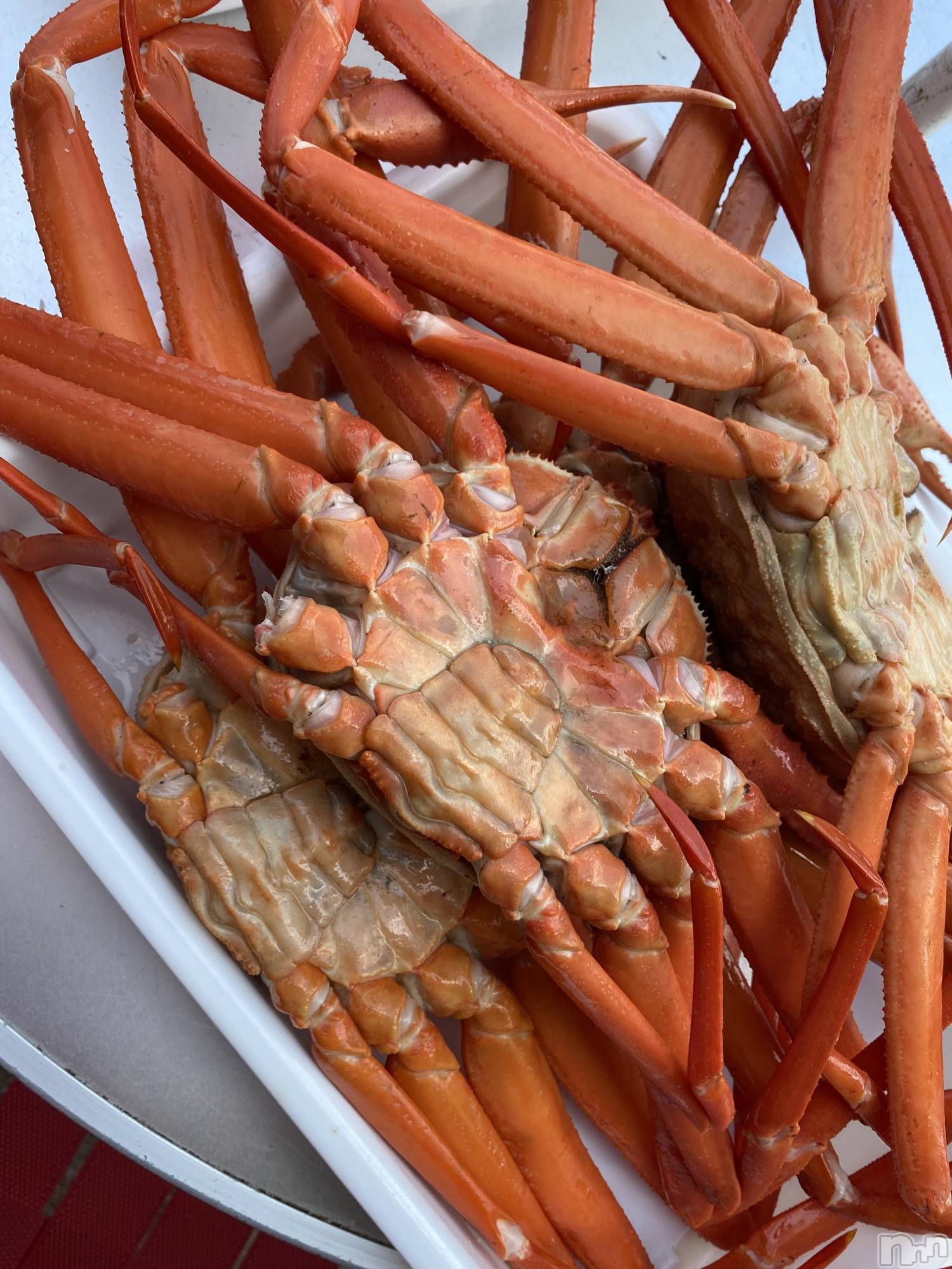 ��ˬ����Х��顦����֥���� �ץ���� ��ˬ(����� �ץ���� ����) ��2022ǯ8��27���̥�֥�����8��27�� 20��05ʬ�Υ֥�����