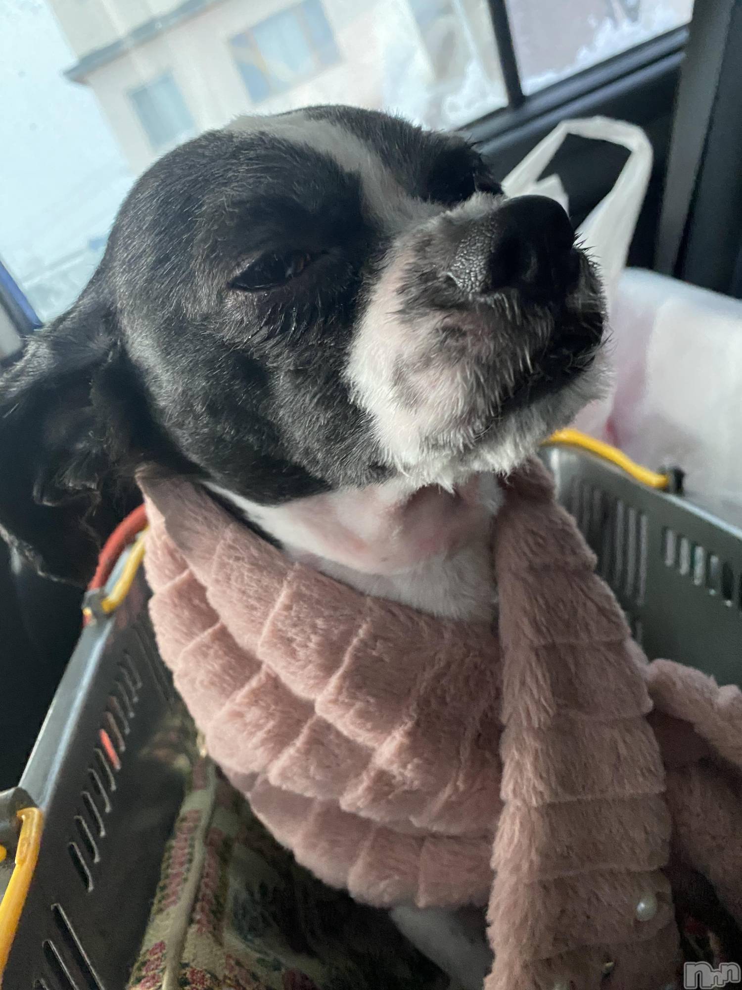 ��ˬ����Х��顦����֥���� �ץ���� ��ˬ(����� �ץ���� ����) ��2023ǯ1��27���̥�֥�����1��27�� 14��55ʬ�Υ֥�����