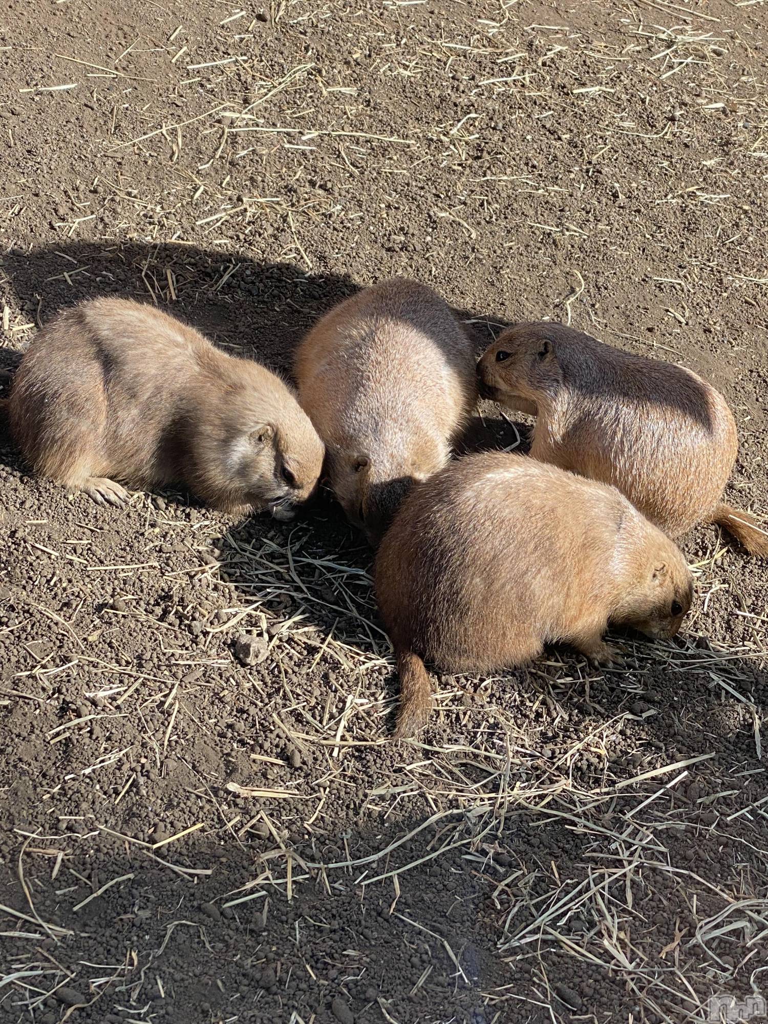 ��ˬ����Х��顦����֥���� �ץ���� ��ˬ(����� �ץ���� ����) ��2023ǯ5��4���̥�֥�����5��4�� 20��44ʬ�Υ֥�����