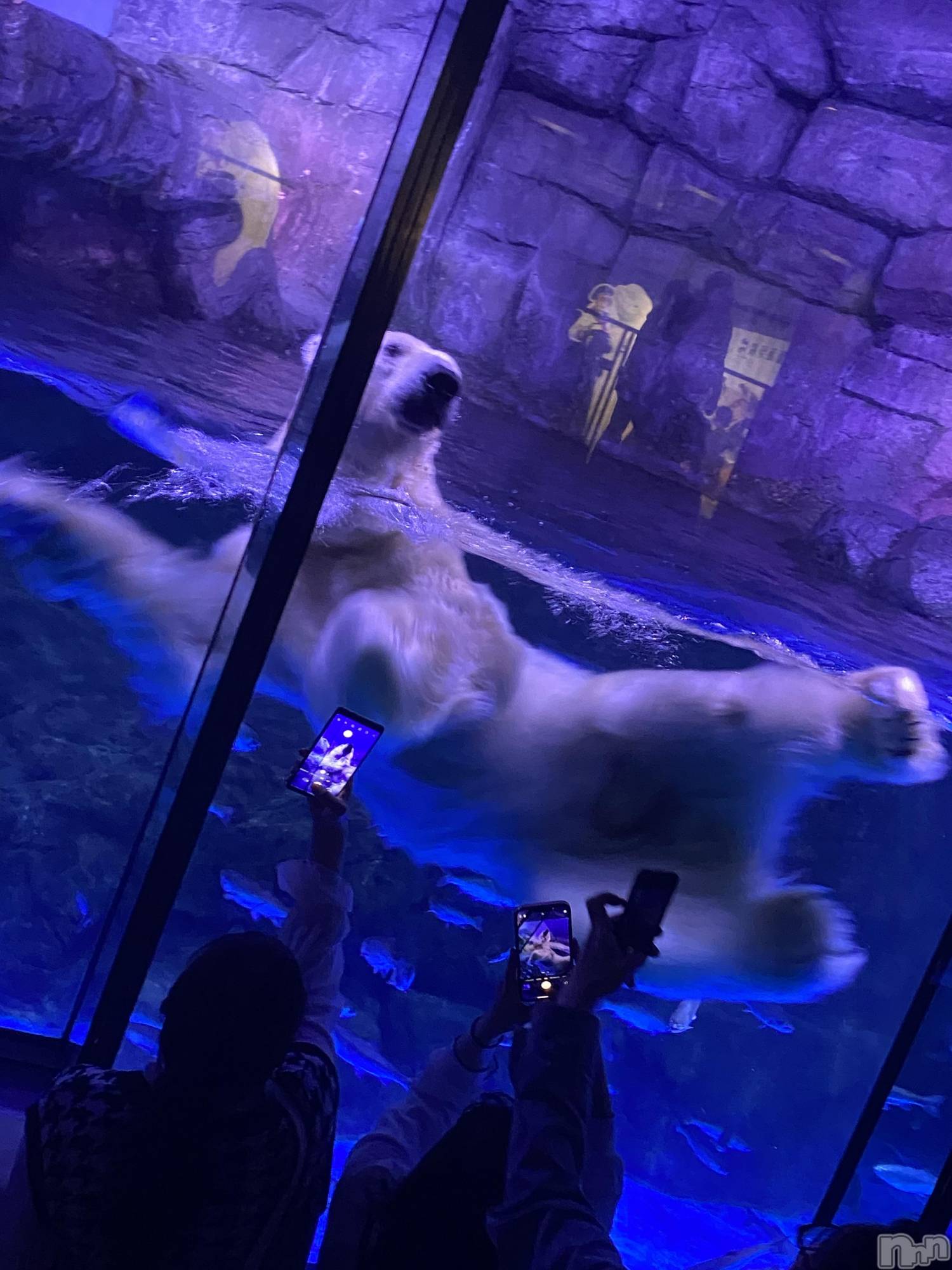 ��ˬ����Х��顦����֥���� �ץ���� ��ˬ(����� �ץ���� ����) ��2023ǯ5��8���̥�֥�����5��8�� 10��35ʬ�Υ֥�����