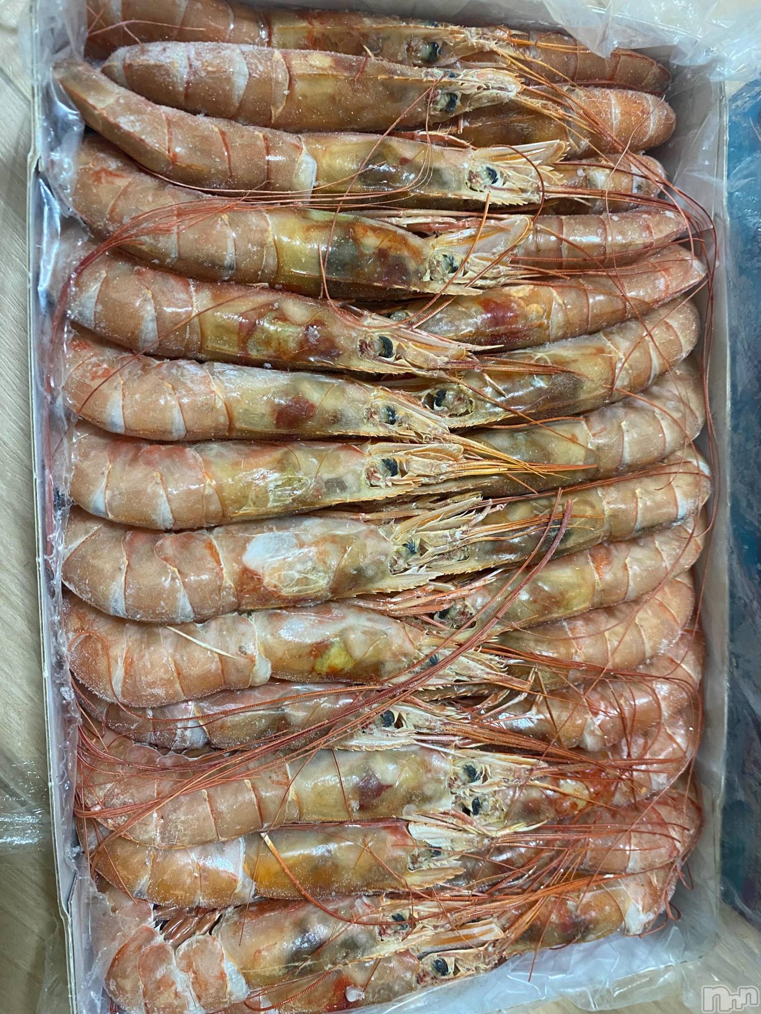 ��ˬ����Х��顦����֥���� �ץ���� ��ˬ(����� �ץ���� ����) ��2023ǯ5��13���̥�֥�����5��13�� 15��10ʬ�Υ֥�����