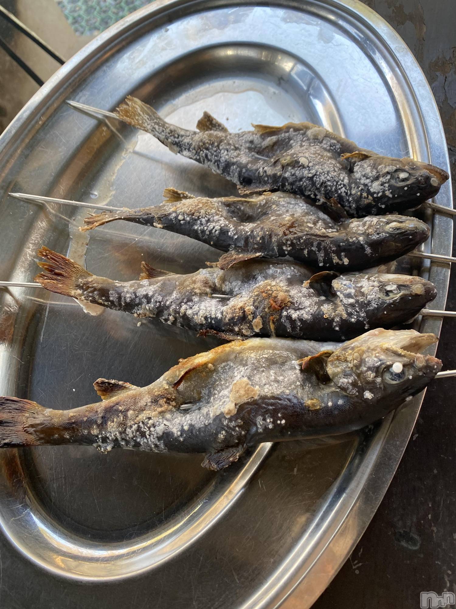 ��ˬ����Х��顦����֥���� �ץ���� ��ˬ(����� �ץ���� ����) ��2023ǯ5��16���̥�֥�����5��16�� 16��34ʬ�Υ֥�����