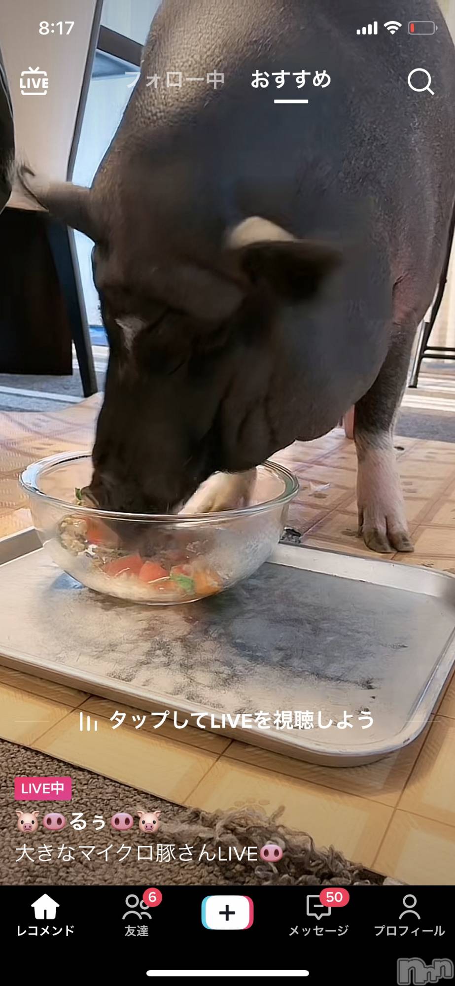 ��ˬ����Х��顦����֥���� �ץ���� ��ˬ(����� �ץ���� ����) ��2023ǯ5��20���̥�֥�����5��20�� 16��42ʬ�Υ֥�����