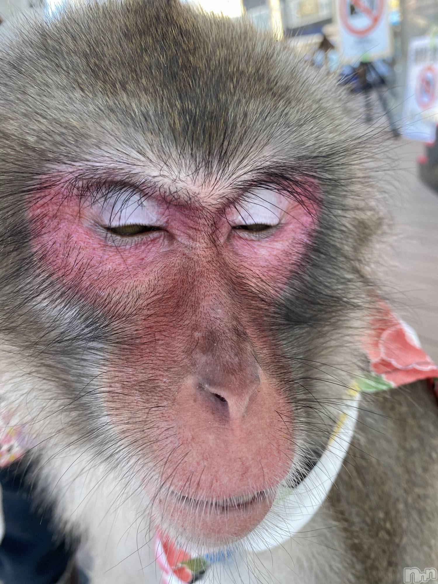 ��ˬ����Х��顦����֥���� �ץ���� ��ˬ(����� �ץ���� ����) ��2023ǯ5��24���̥�֥�����5��24�� 18��49ʬ�Υ֥�����