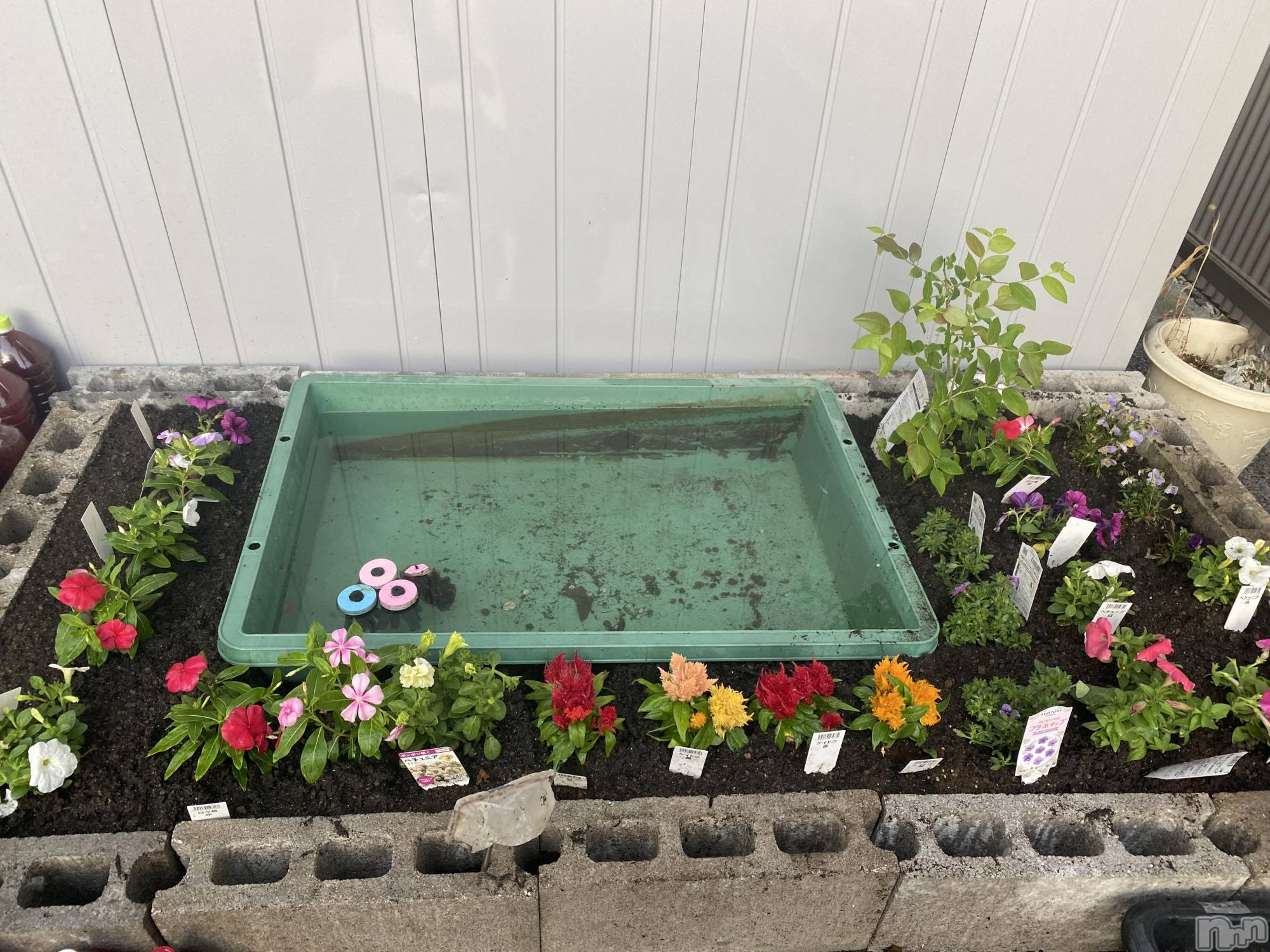 ��ˬ����Х��顦����֥���� �ץ���� ��ˬ(����� �ץ���� ����) ��2023ǯ6��6���̥�֥�����6��6�� 13��21ʬ�Υ֥�����