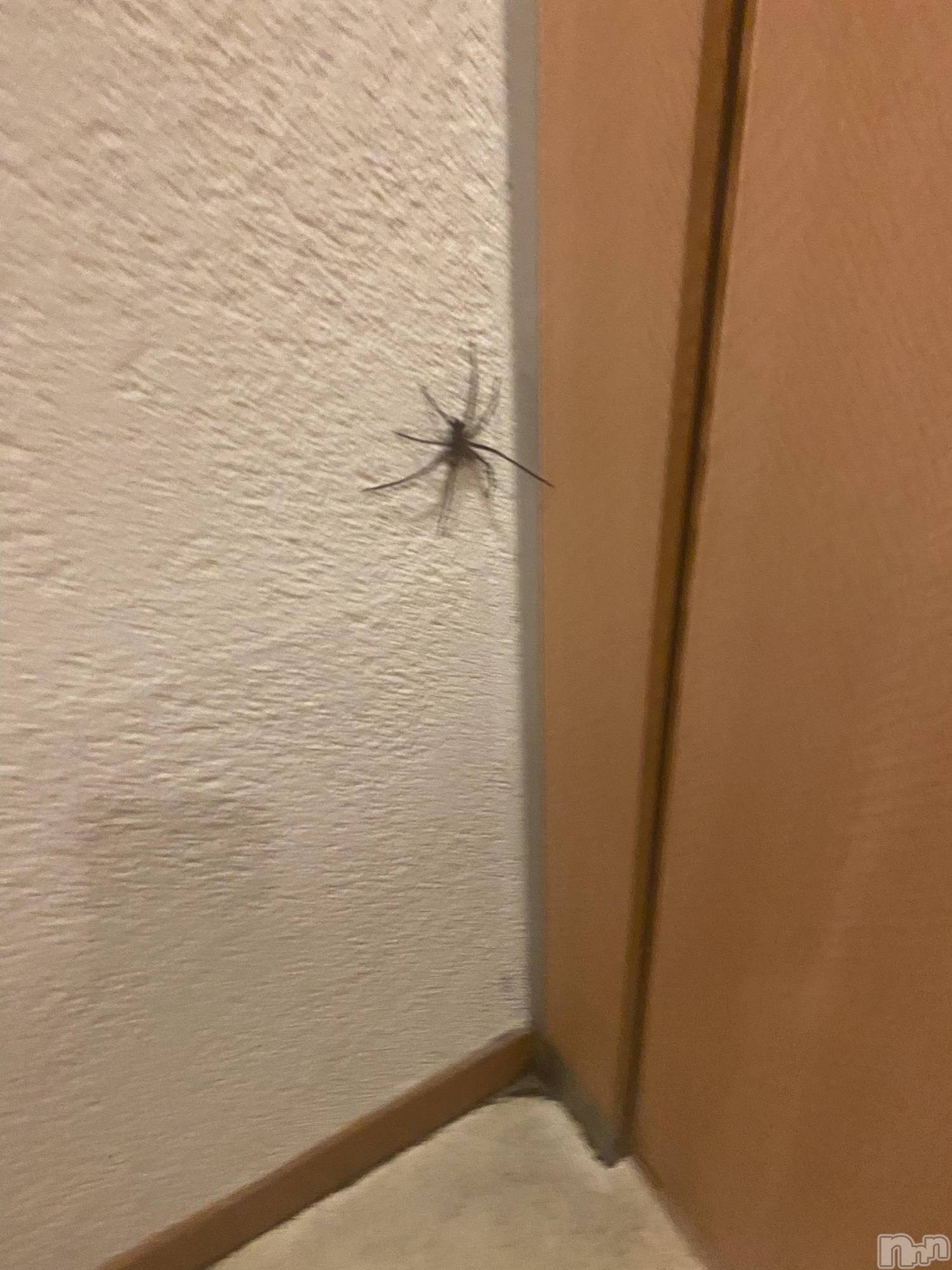 ��ˬ����Х��顦����֥���� �ץ���� ��ˬ(����� �ץ���� ����) ��2023ǯ6��26���̥�֥�����6��26�� 15��13ʬ�Υ֥�����